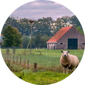 축산분뇨 이미지