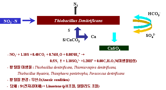 SOD SYSTEM 이미지